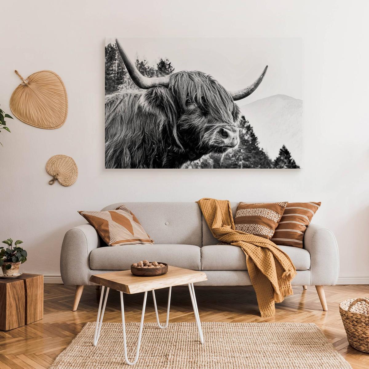 Obraz Do Salonu Krowa Szkocka Czarno-Biały  90x60 Pejzaż Góry Las Natura  nr. 3