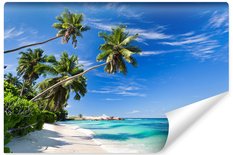 Fototapeta Plaża Ocean Palmy Dekoracja Tropikalna z Modnym efektem 3D - Miniaturka zdjęcia nr 1