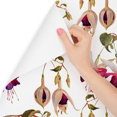 Tapeta storczyk kwiaty orchidea przyroda do salonu 
