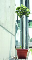 Doniczka klasyczna Terra DCE35 Śr.35cm Donica - Miniaturka zdjęcia nr 3