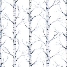 Tapeta Ścienna Delikatne Brzozy DRZEWA Natura Las 53x1000  - Miniaturka zdjęcia nr 5