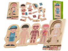 Puzzle drewniane warstwowe budowa ciała chłopiec montessori zabawka edukacyjna dla dzieci 24,5x29x1,7cm 