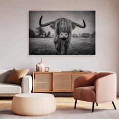 Obraz Do Sypialni Dzika Krowa Szkocka  40x30 Natura Czarno-Biały Pejzaż - Miniaturka zdjęcia nr 6