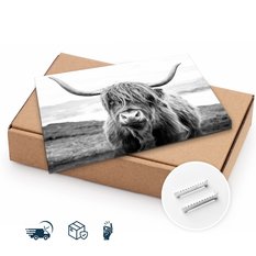Obraz Do Salonu Krowa Szkocka Klify Czarno-Biały  40x30 Krajobraz Natura - Miniaturka zdjęcia nr 10