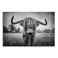 Obraz Do Sypialni Dzika Krowa Szkocka  40x30 Natura Czarno-Biały Pejzaż - Miniaturka zdjęcia nr 2