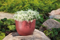 Dwukolorowa doniczka Muna 40 Okrągła donica śr40cm - Miniaturka zdjęcia nr 4
