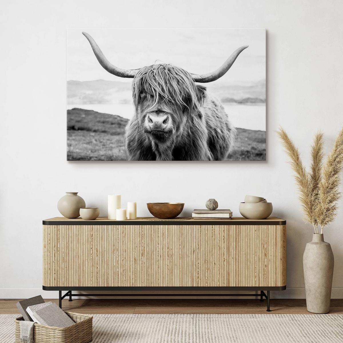 Obraz Do Salonu Krowa Szkocka Klify Czarno-Biały  40x30 Krajobraz Natura nr. 3