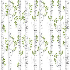 Tapeta W Rolce DRZEWA Brzozy Efekt 3D Natura Dekor  - Miniaturka zdjęcia nr 3