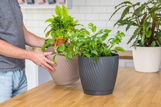 Doniczka okrągła Mika 23 + podstawka - Miniaturka zdjęcia nr 3