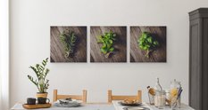 Obrazy Do Kuchni SET Świeże ZIOŁA Bazylia Rozmaryn Mięta Rośliny 180x60cm - Miniaturka zdjęcia nr 6