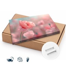 Obraz Na Płótnie Różowe Maki Na Łące Natura 70x50 Polna Przyroda - Miniaturka zdjęcia nr 9