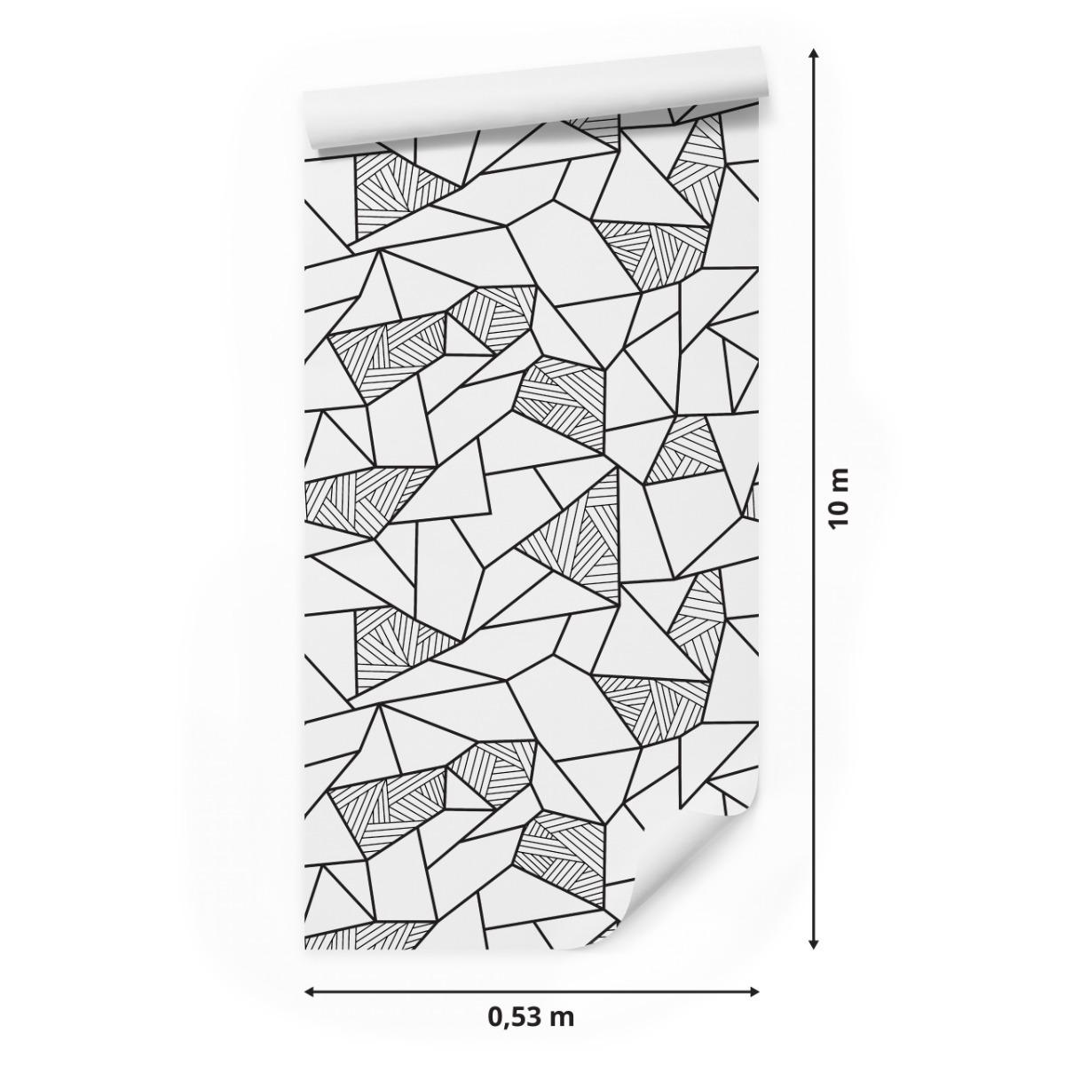 Tapeta Do Salonu Czarno-Biały GEOMETRYCZNY Wzór 3D 53x1000  nr. 2