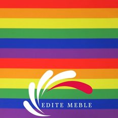 Krzesło Tapicerowane Premium Rainbow | Producent Edite Meble - Miniaturka zdjęcia nr 7