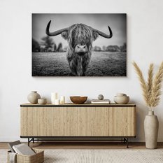 Obraz Do Sypialni Dzika Krowa Szkocka  40x30 Natura Czarno-Biały Pejzaż - Miniaturka zdjęcia nr 4