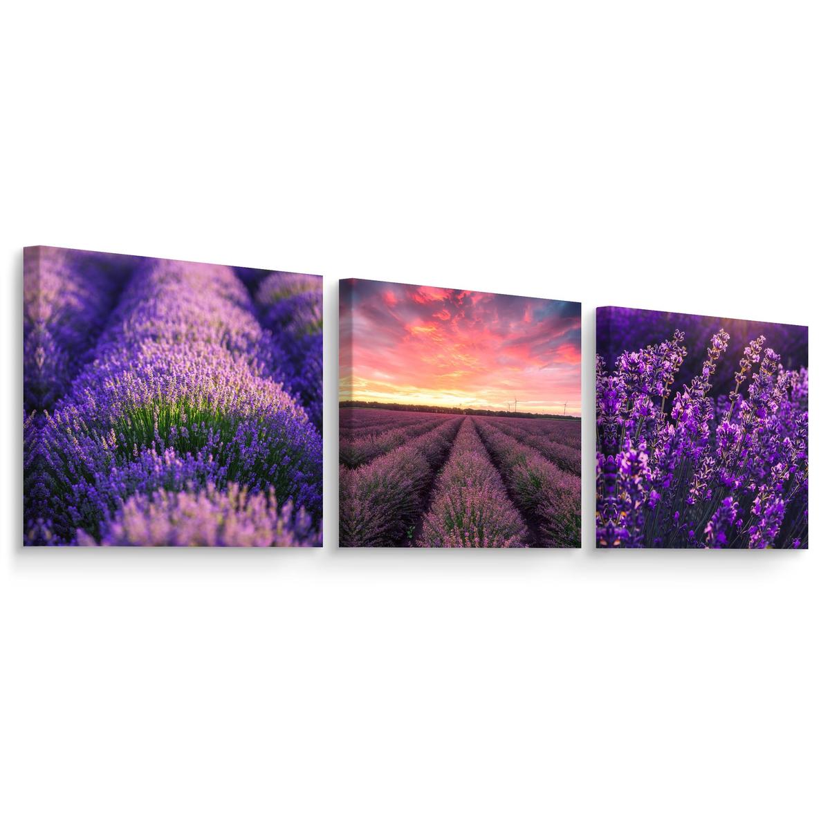 Obrazy Do Kuchni SET Pole LAWENDY Kwiaty Natura Pejzaż Rośliny 180x60cm