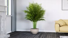 Donica misa Satina 40 na nóżkach Doniczka okrągła - Miniaturka zdjęcia nr 3