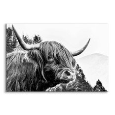 Obraz Do Salonu Krowa Szkocka Czarno-Biały  90x60 Pejzaż Góry Las Natura  - Miniaturka zdjęcia nr 2