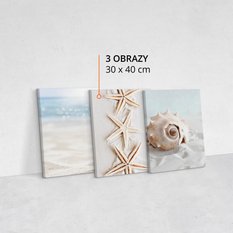 Obrazy Do Sypialni PLAŻA Morze Muszle Pejzaż 90x40cm - Miniaturka zdjęcia nr 2