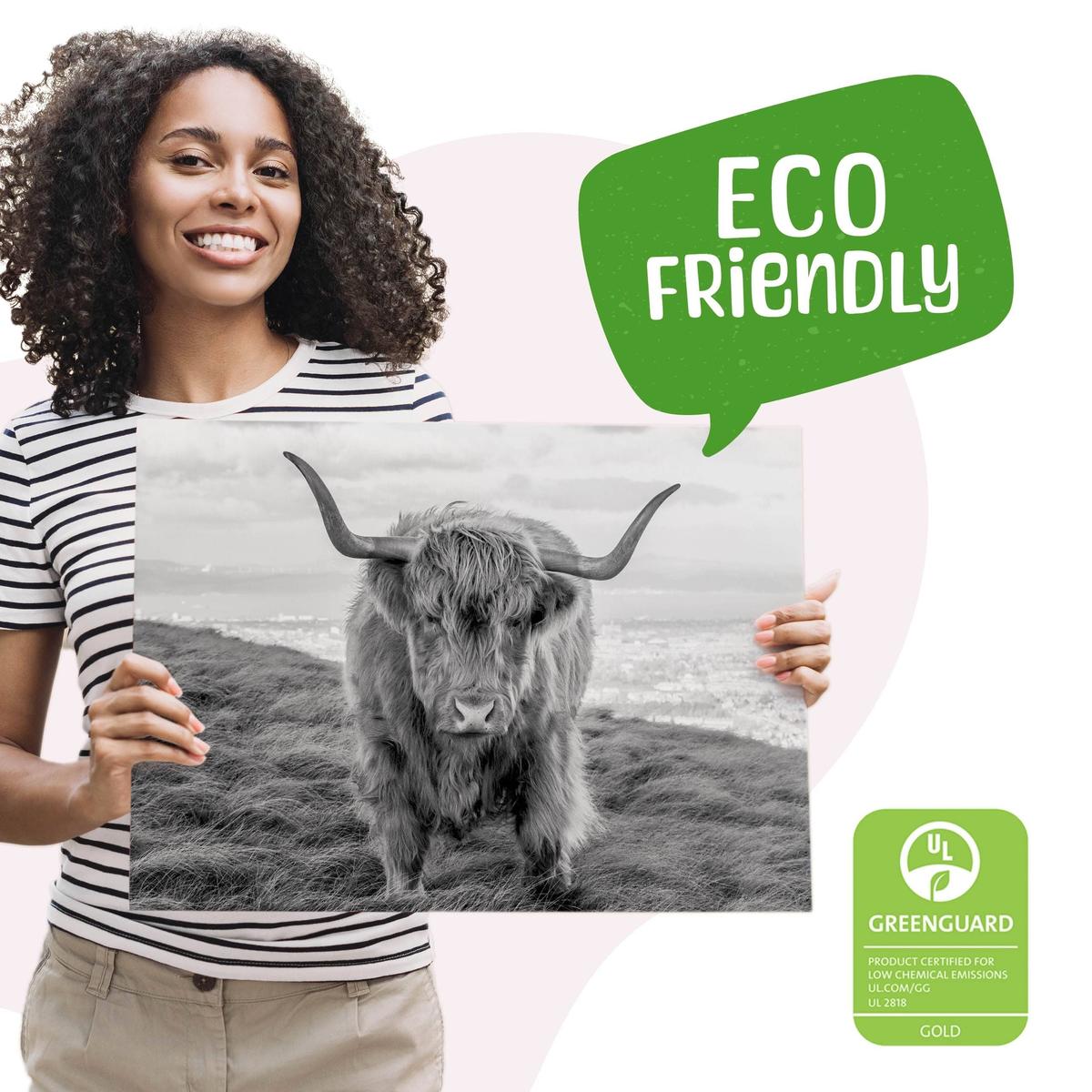 Obraz Na Płótnie Krowa Szkocka Czarno-Biały 120x80 Pejzaż Natura Zwierzęta  nr. 9