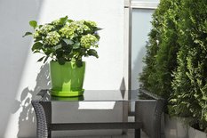 Donica okrągła MAGNOLIA 250 w połysku 8l - Miniaturka zdjęcia nr 4