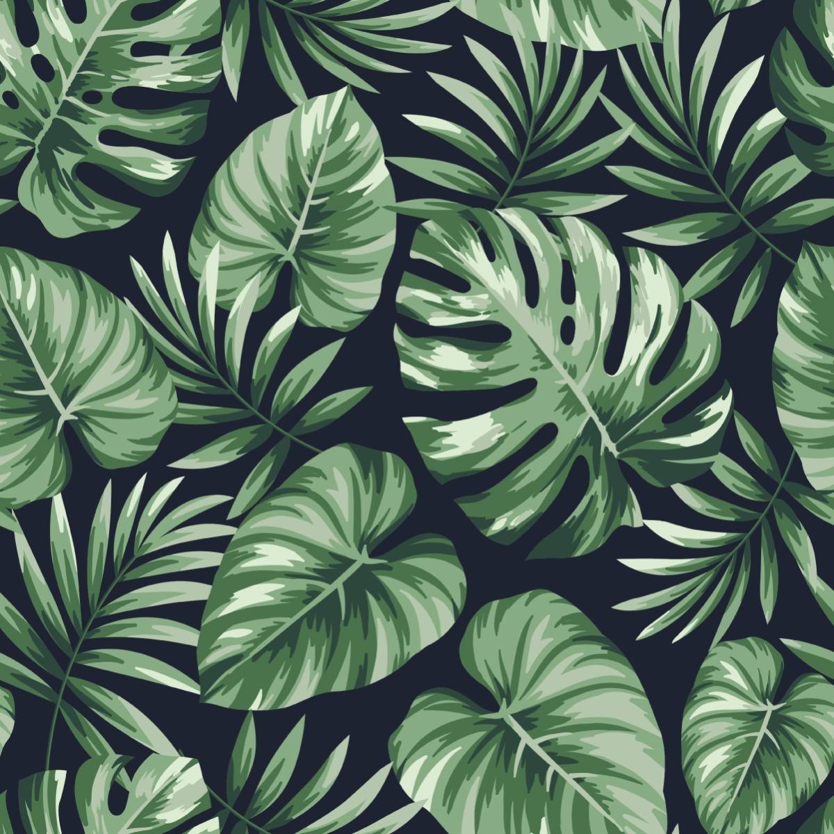Tapeta, Liście Monstery, Natura, Wystrój Tropikalny nr. 3