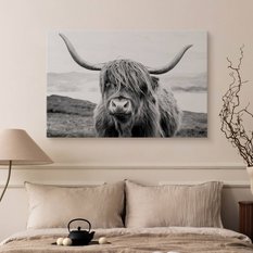 Obraz Do Salonu Krowa Szkocka Klify Czarno-Biały  40x30 Krajobraz Natura - Miniaturka zdjęcia nr 5