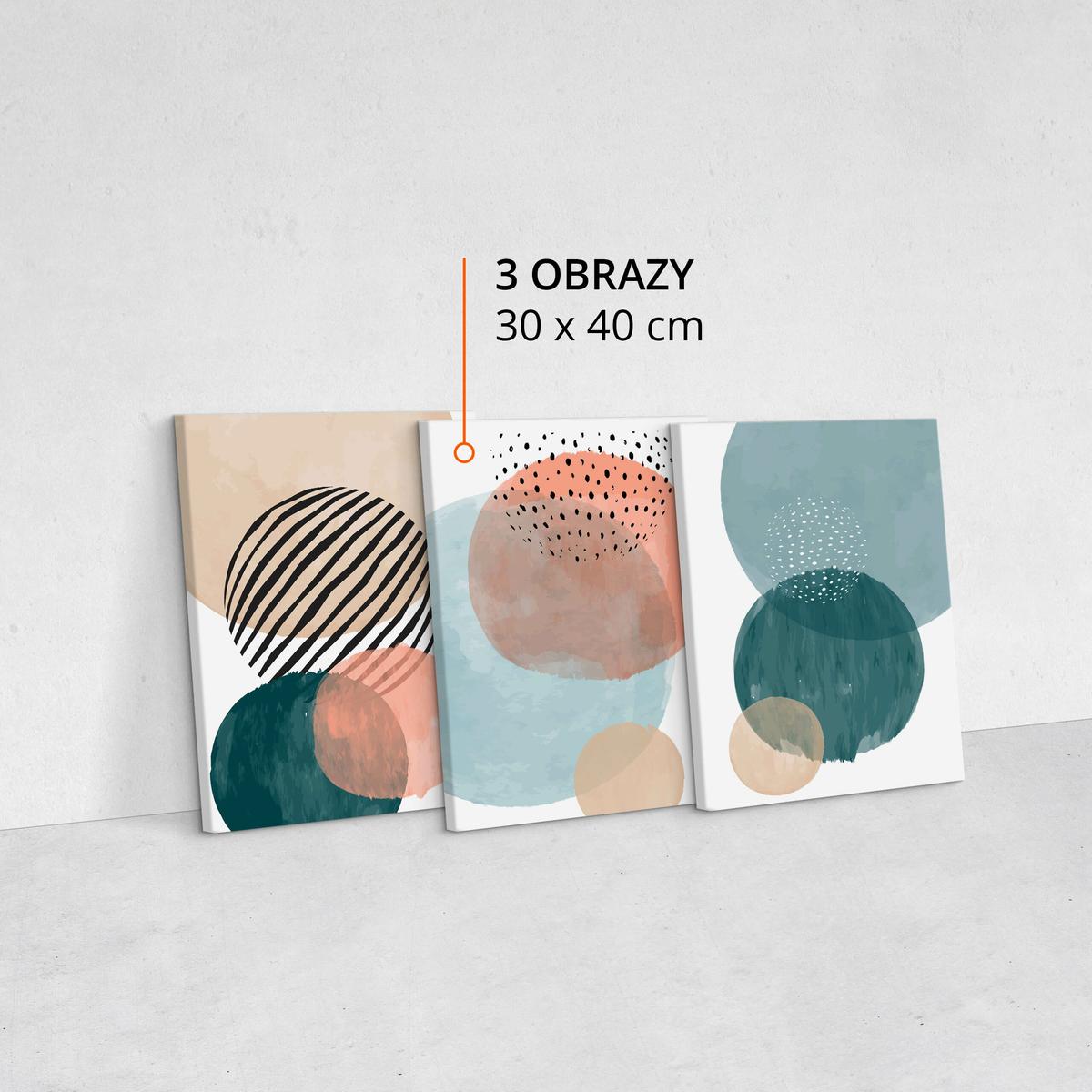 Obrazy Do Salonu Set Akwarele Koła Abstrakcja Minimalizm 90x40cm nr. 10