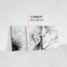 Obrazy Do Salonu Czarno-Białe KWIATY Natura 90x40cm - Miniaturka zdjęcia nr 2