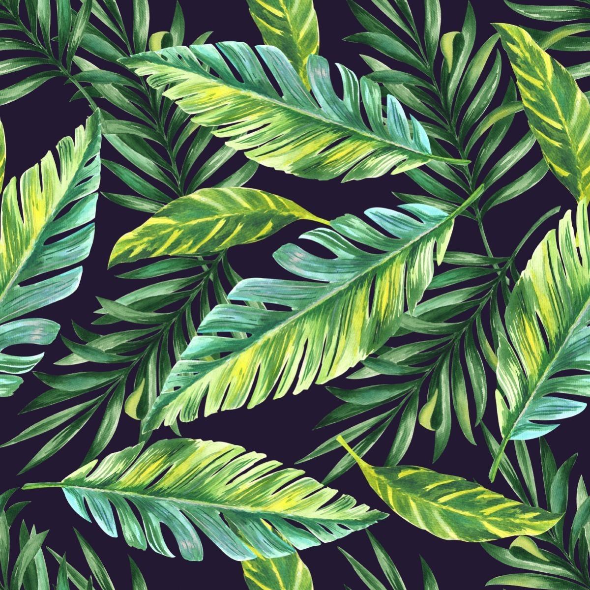 Tapeta, Egzotyczne Liście, Tropikalna Dekoracja do Biura nr. 5