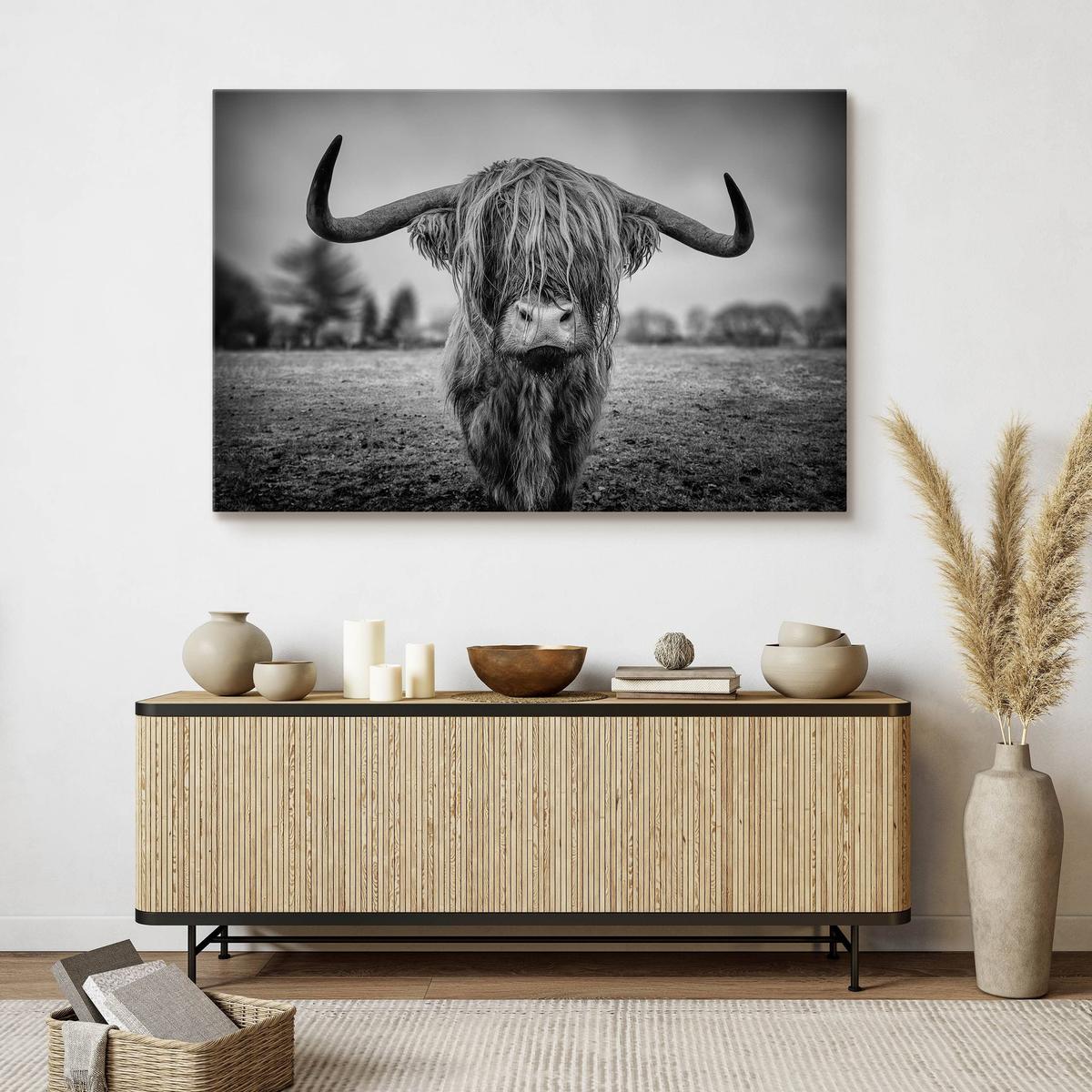Obraz Do Sypialni Dzika Krowa Szkocka  40x30 Natura Czarno-Biały Pejzaż nr. 4