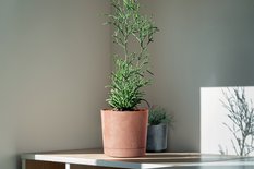 Doniczka okrągła Tubo Effect 180E + podstawka 3,2l - Miniaturka zdjęcia nr 3