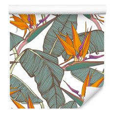 Tapeta Egzotyczna, Dekoracja w Stylu Nowoczesnym, Bananowiec - Miniaturka zdjęcia nr 1