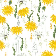 Tapeta W Rolce KWIATY Mlecze Natura Ozdoba Liście  - Miniaturka zdjęcia nr 7