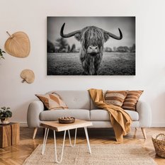 Obraz Do Sypialni Dzika Krowa Szkocka  40x30 Natura Czarno-Biały Pejzaż - Miniaturka zdjęcia nr 3
