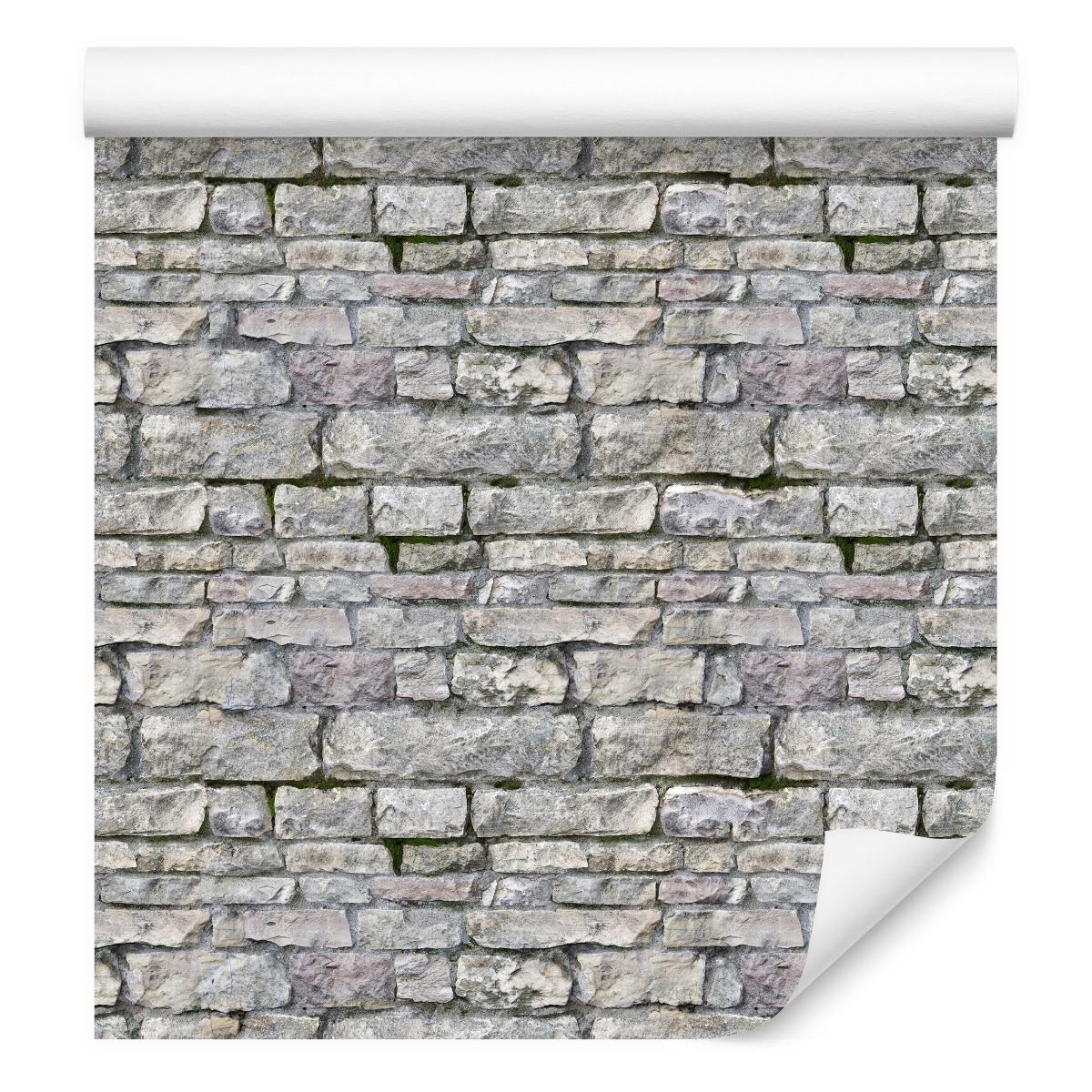Tapeta Do Salonu Szara CEGŁA Kamień Mur Efekt 3D 53x1000  nr. 3