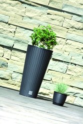 Doniczka+ Podstawka RATTAN śr19cm wys16cm UMBRA - Miniaturka zdjęcia nr 2