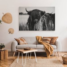 Obraz Do Sypialni Krowa Szkocka Czarno-Biały  40x30 Pejzaż Polana Natura - Miniaturka zdjęcia nr 3