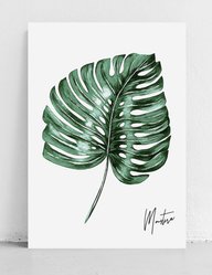 Plakat monstera liść 50x70 cm dekoracja ścienna bez ram  - Miniaturka zdjęcia nr 4