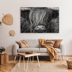 Obraz Na Płótnie Krowa Szkocka Zwierzęta  100x70 Natura Do Salonu Sypialni - Miniaturka zdjęcia nr 7