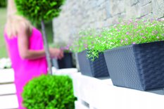 Doniczka na parapet Rattan ISR500P skrzynka donica - Miniaturka zdjęcia nr 2