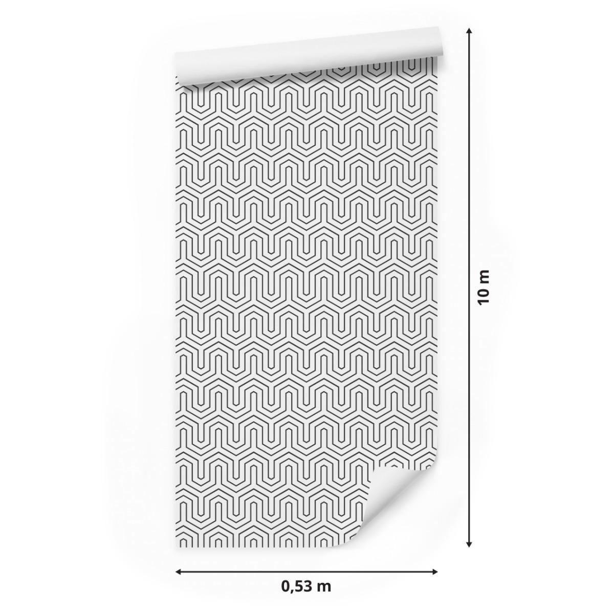 Tapeta Do Przedpokoju GEOMETRYCZNA Abstrakcja 3D 53x1000  nr. 2