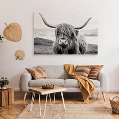 Obraz Do Salonu Krowa Szkocka Klify Czarno-Biały  70x50 Krajobraz Natura - Miniaturka zdjęcia nr 7