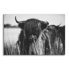 Obraz Do Sypialni Krowa Szkocka Czarno-Biały  30x20 Pejzaż Polana Natura - Miniaturka zdjęcia nr 2