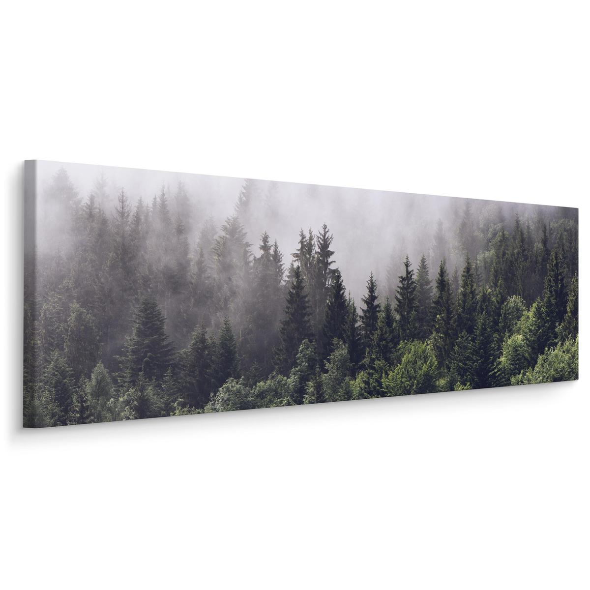 Obraz Panoramiczny LAS We Mgle Krajobraz Natura Drzewa 145x45cm