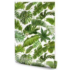 Tapeta LIŚCIE Tropikalne Bananowiec Palma Monstera 53x1000  - Miniaturka zdjęcia nr 1