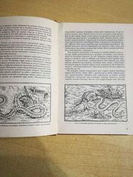 Książka Atlas Jadowite węże świata. - Miniaturka zdjęcia nr 4