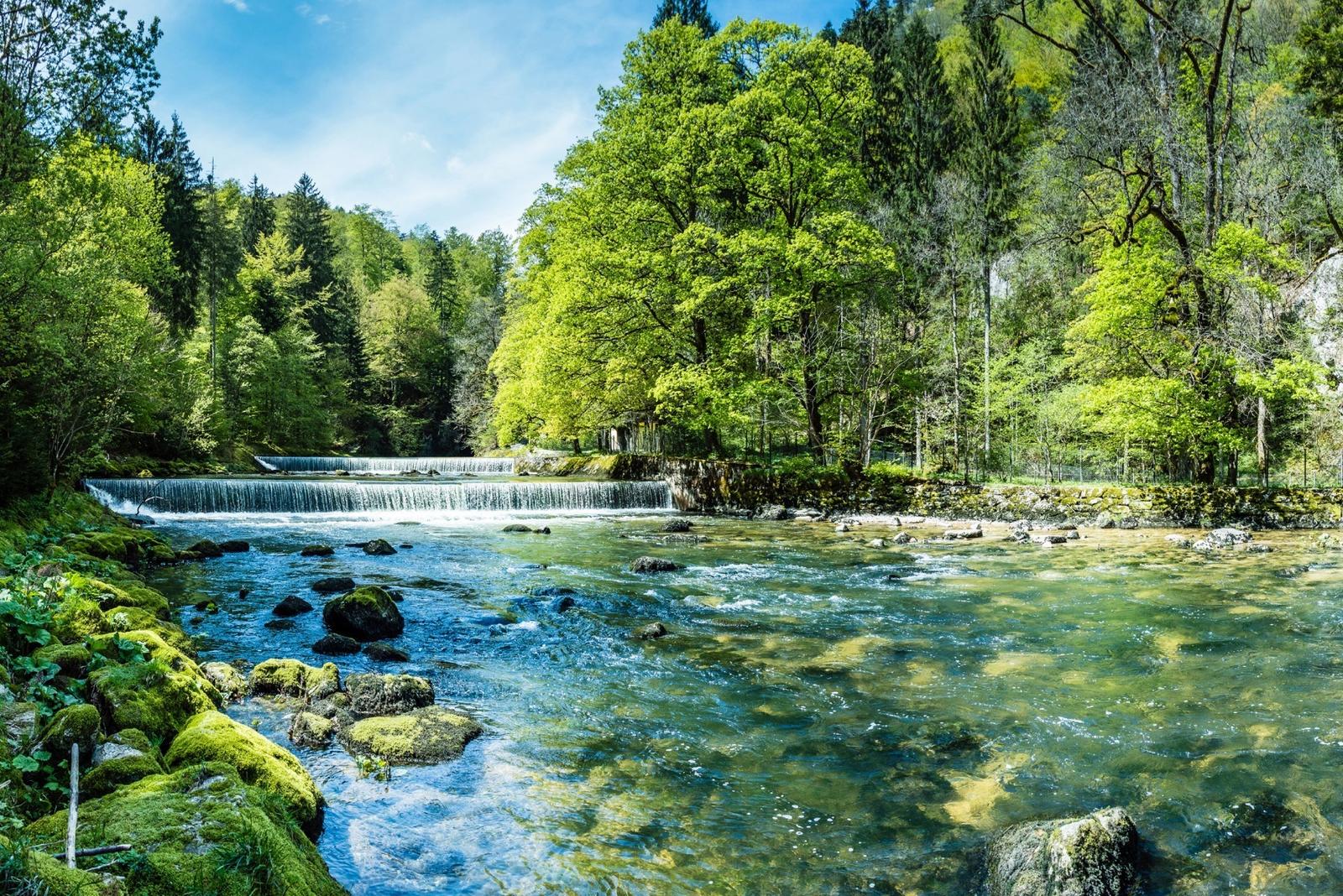 Fototapeta do salonu rzeka las natura 3D Dekoracja Nowoczesna Przyrodnicza nr. 4