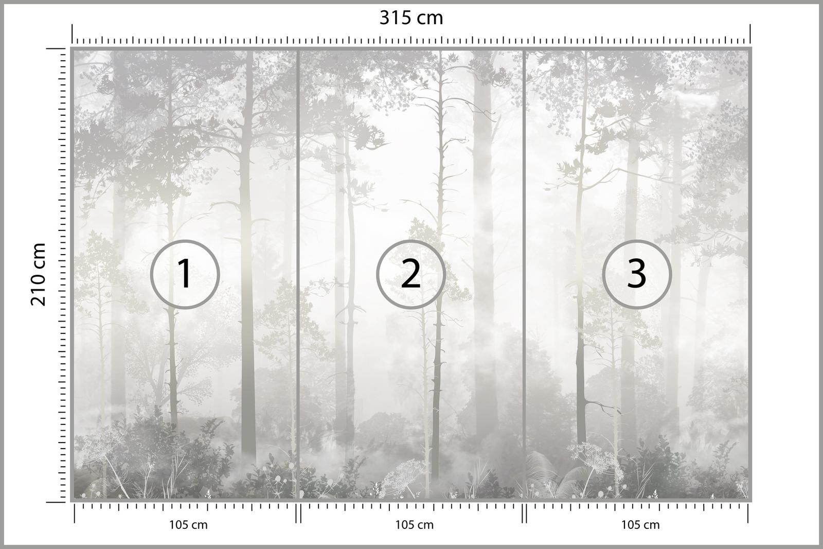 Fototapeta Do Sypialni Mglisty Las Pejzaż Natura Drzewa Abstrakcja nr. 2