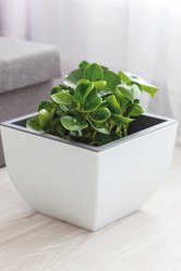 Doniczka Muna matowa 35 Kwadrat 35xh26cm Donica - Miniaturka zdjęcia nr 4