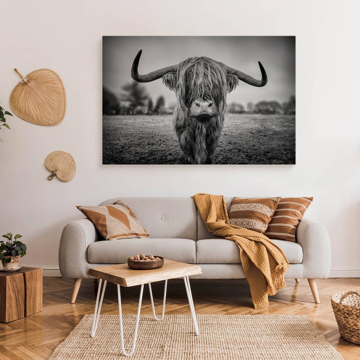 Obraz Do Sypialni Dzika Krowa Szkocka  40x30 Natura Czarno-Biały Pejzaż nr. 3